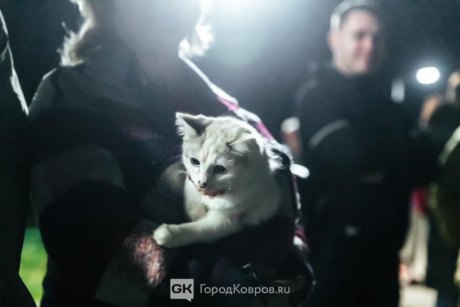 кукушкин пруд показ