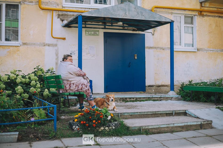 Заря суета