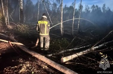 Во Владимирской области сотрудники МЧС проявляют профессионализм и стойкость в борьбе с ландшафтным пожаром в Камешковском районе