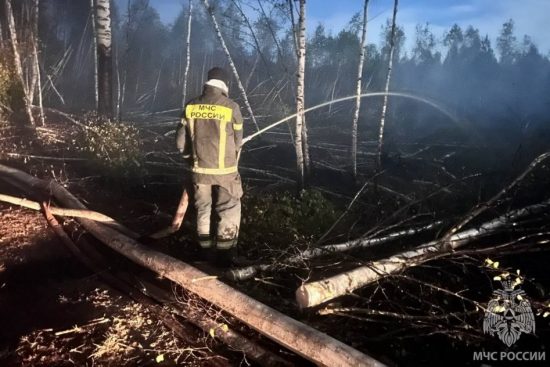 Во Владимирской области сотрудники МЧС проявляют профессионализм и стойкость в борьбе с ландшафтным пожаром в Камешковском районе